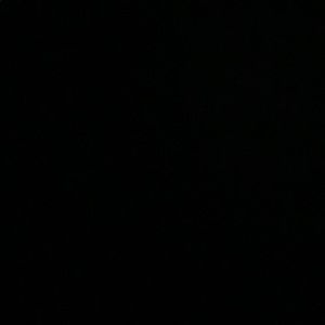 Meet your Posher, Ava